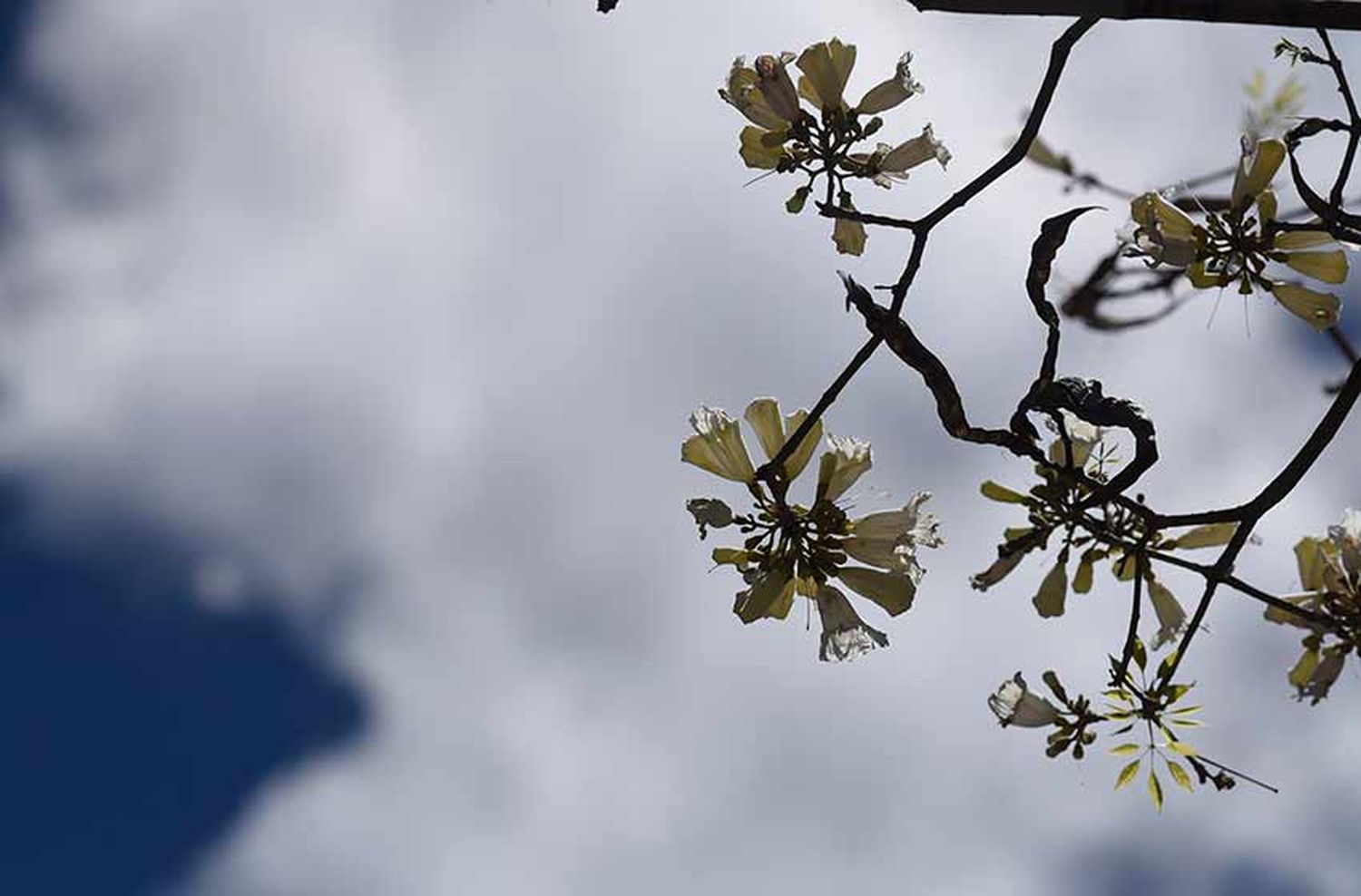 Primeras señales de una primavera que se hizo esperar