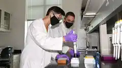 Las personas no vacunadas de Covid-19 tienen riesgo de reinfección a los tres meses