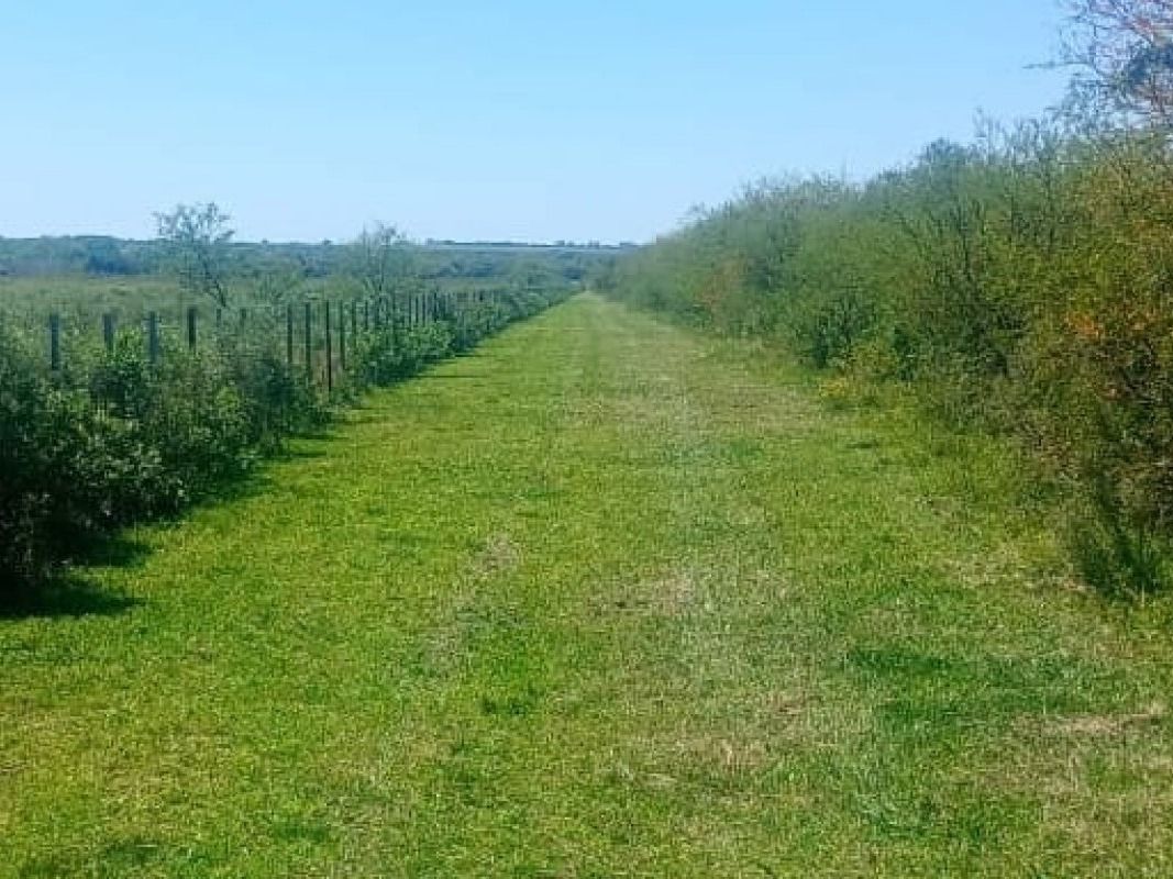 Refuerzan tareas de prevención de incendios en la Reserva Natural Las Piedras