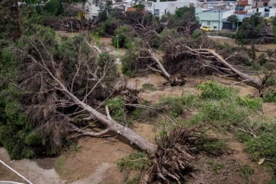 Los expertos del Conicet analizaron el fenómeno climático y sus consecuencias