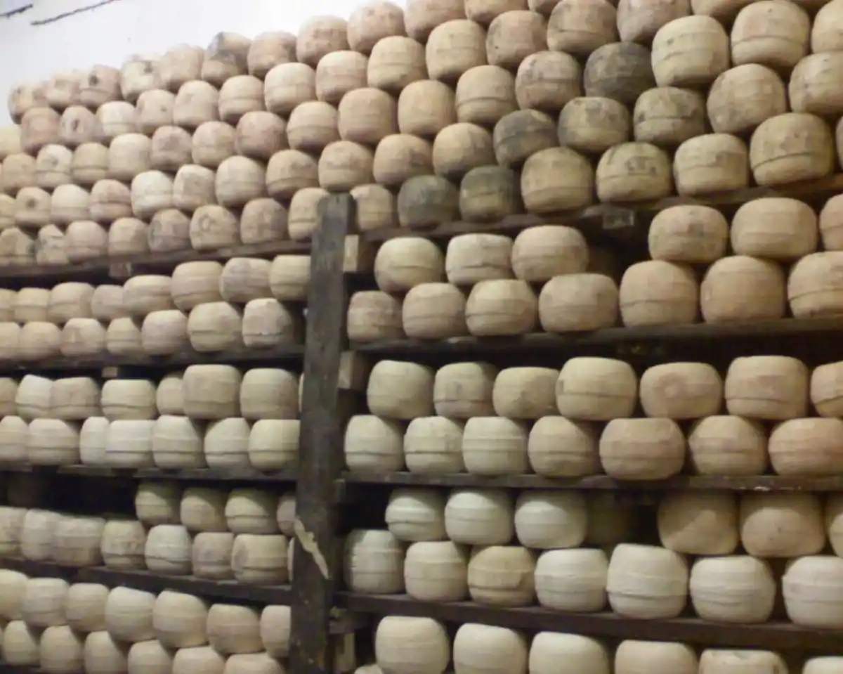 Ensayan métodos para acelerar la maduración de quesos