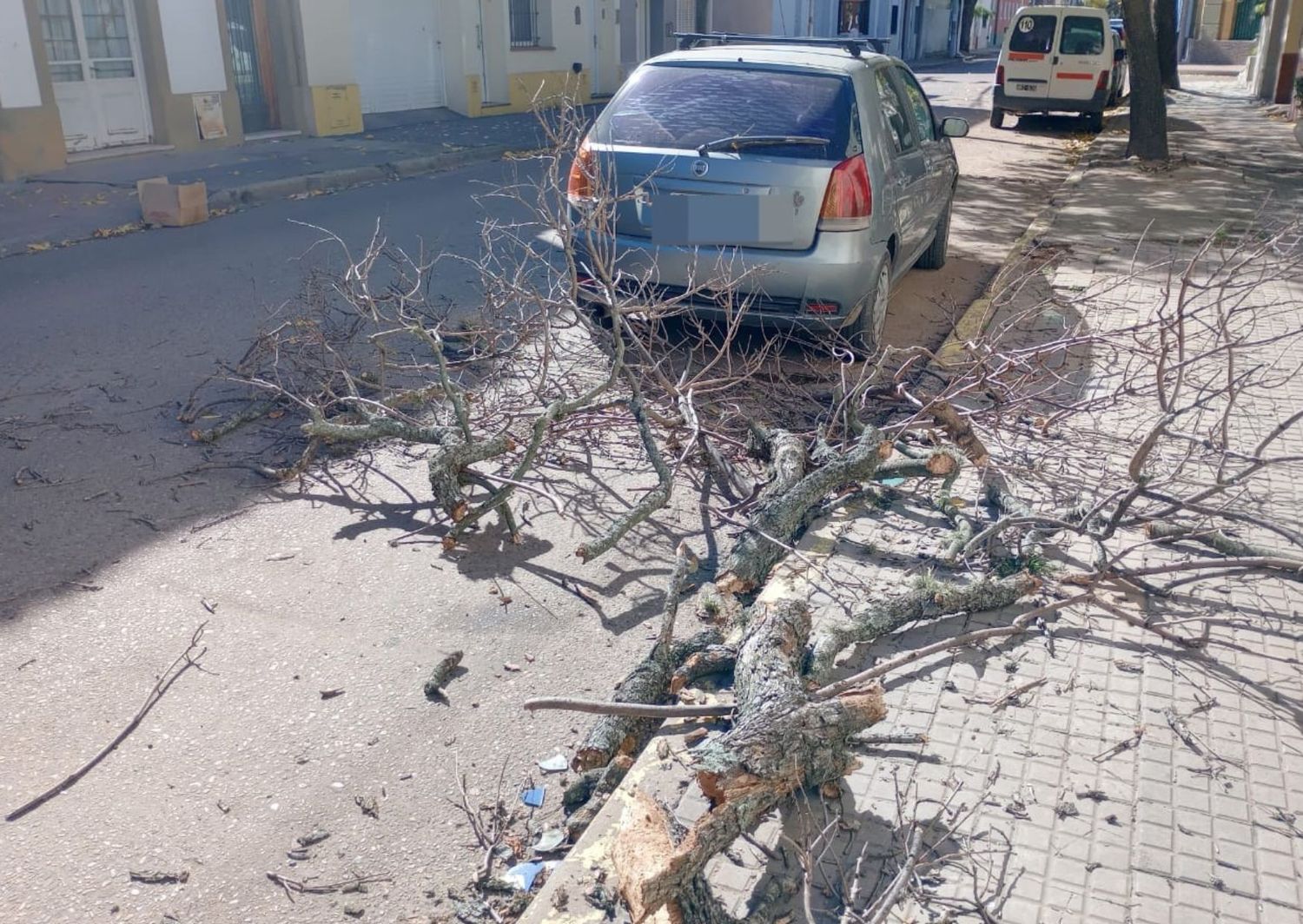 Los vecinos de Belgrano al 600 reclamaron en diversas ocasiones a la Municipalidad, pero nunca obtuvieron respuesta. Foto: La Opinión.