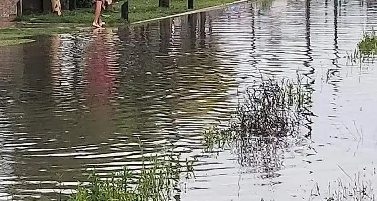 Tormenta: Voladura de techo, árboles caídos y anegamientos asistidos por Defensa Civil