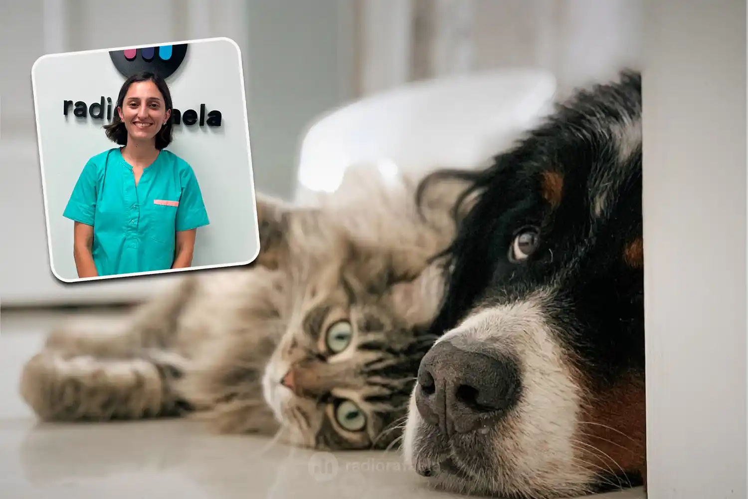 Ana Sol Riva - veterinaria MooVet y Signorini