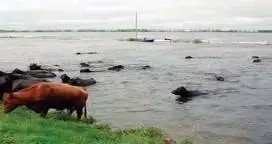 El Niño: "Esto recién empieza"