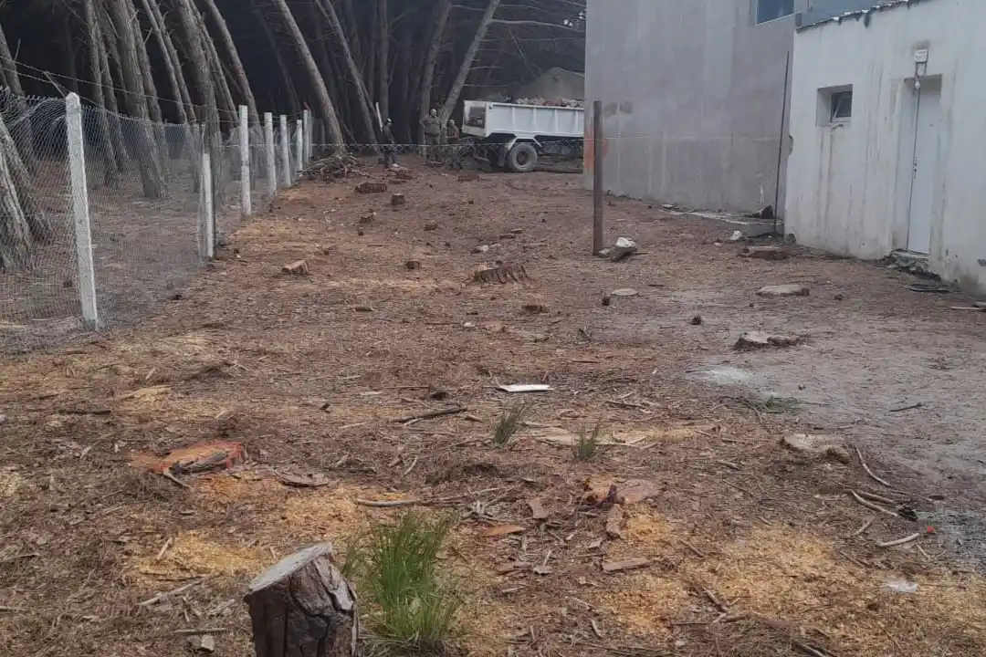 El sector con los árboles talados