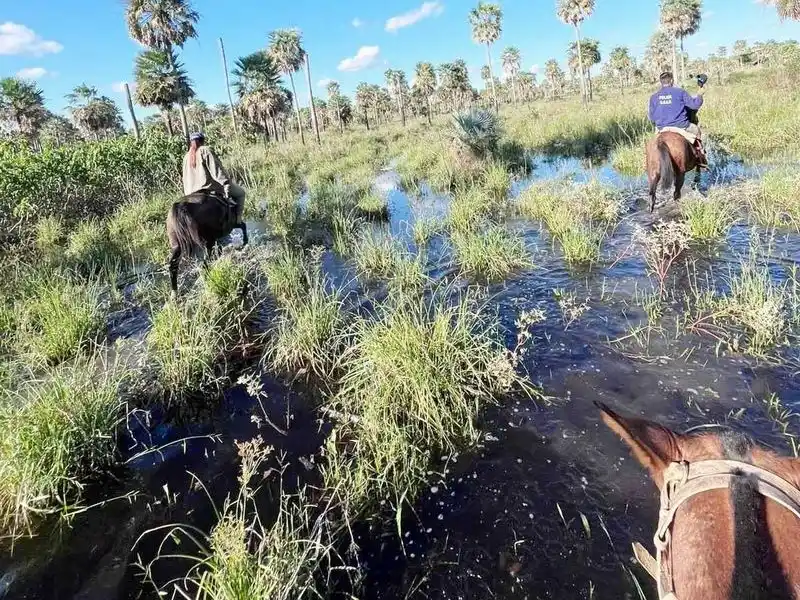 Colonia La Unión: encuentran sin vida a 
un hombre que era intensamente buscado