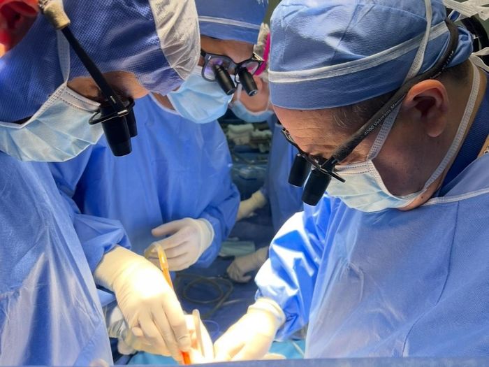 El médico que operó a Inés: se formó en el Garrahan y realizó casi 50 trasplantes en los últimos años