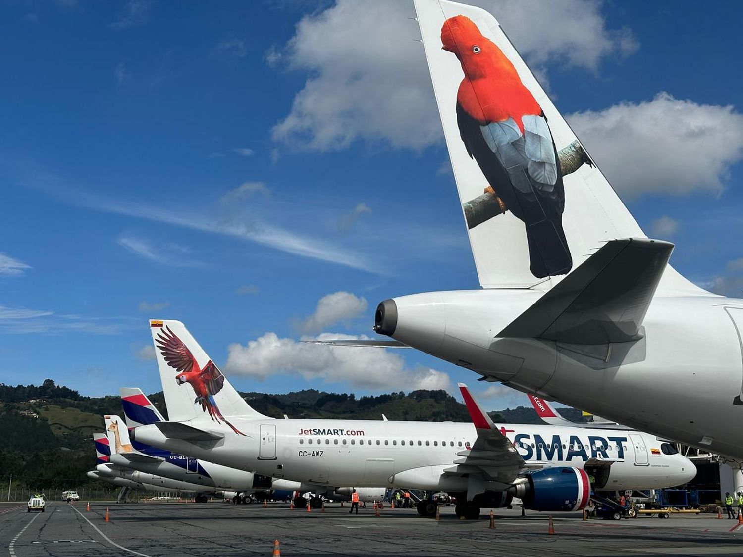 JetSMART expande sus rutas nacionales desde Cali ofreciendo conexiones sin escalas