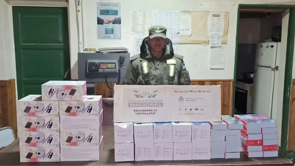 Las autoridades requisaron varios vehículos de patente extranjera que intentaron burlar los controles en Punta de Vacas, Mendoza