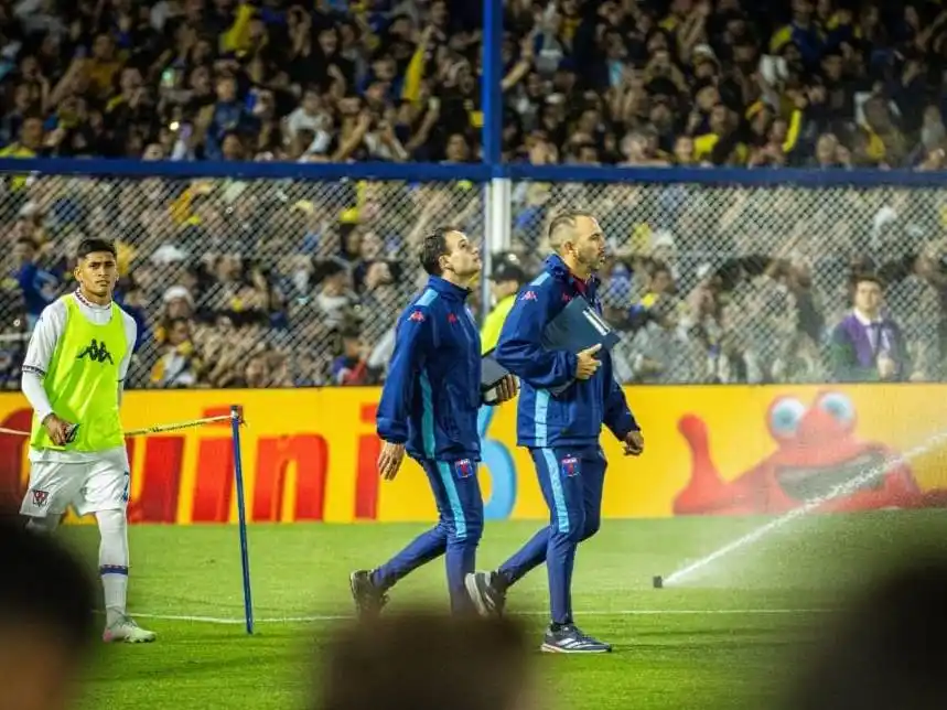 Pato mira cielo