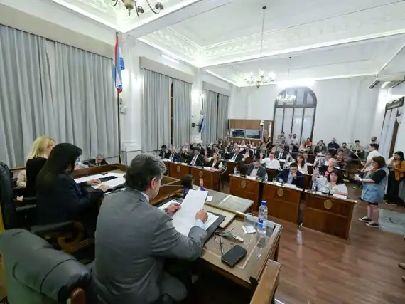 El Senado aprobó las leyes de Fitosanitarios y Presupuesto 2025