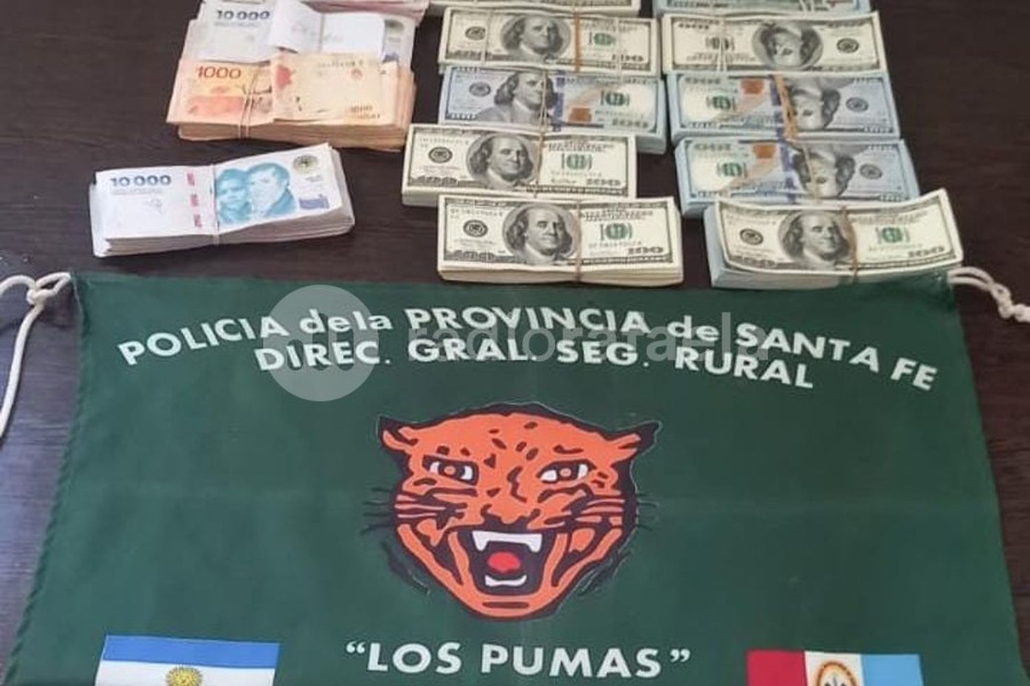 Secuestraron cien mil dólares, dos millones de pesos y una camioneta en un control de “Los Pumas”