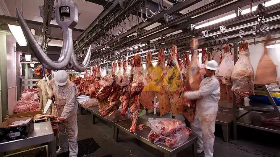 Francisco Paris: “Corren riesgo más de 500 empleos en el frigorífico de nuestra ciudad”.