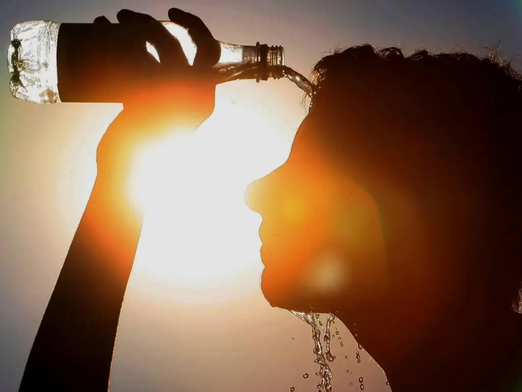El calor y la salud