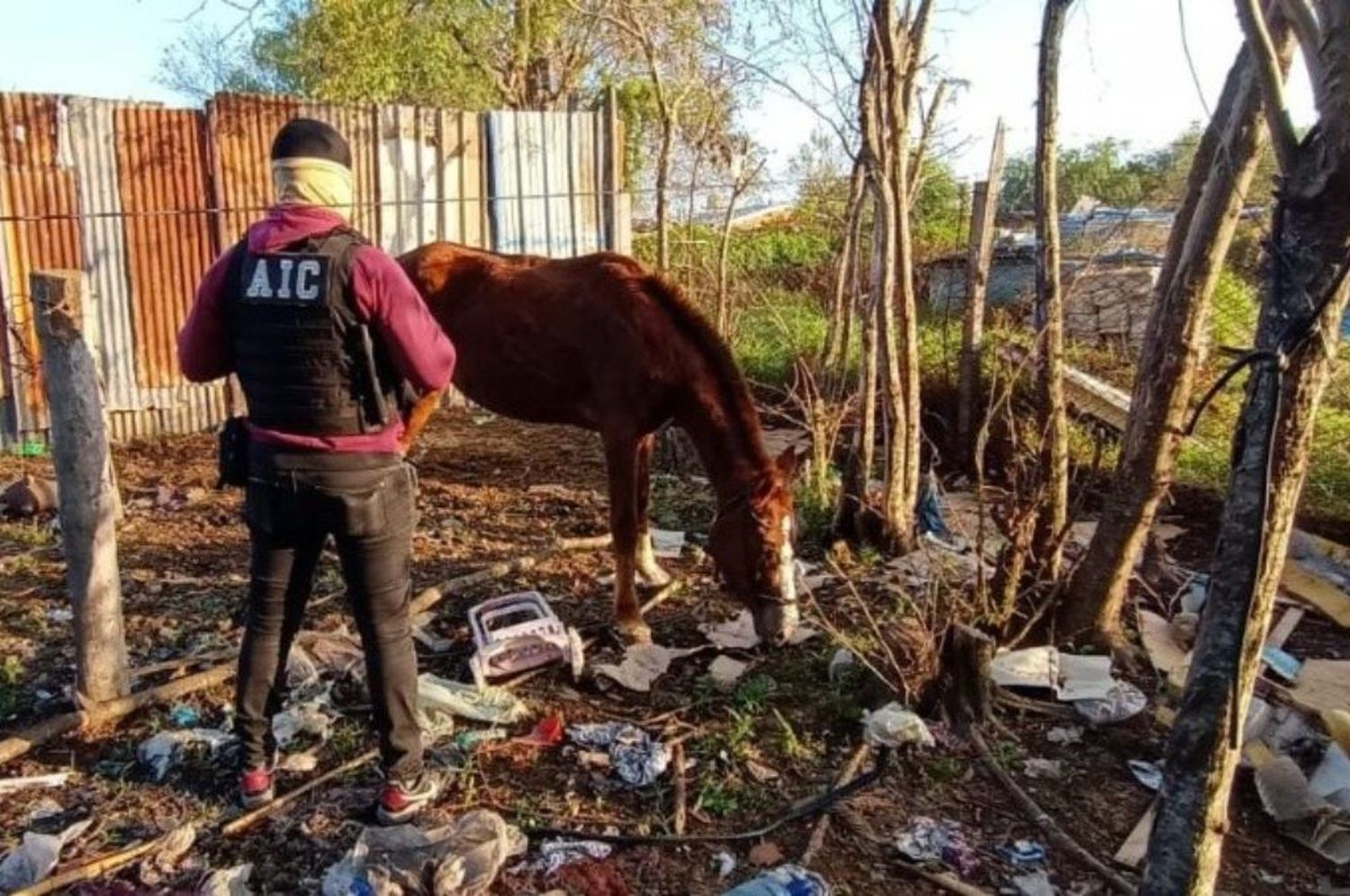 Roldán: capturaron a “Gula”, el bandido que robaba a caballo