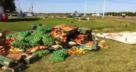 Decomisaron y destruyeron 5,6 toneladas de frutas cítricas y tropicales