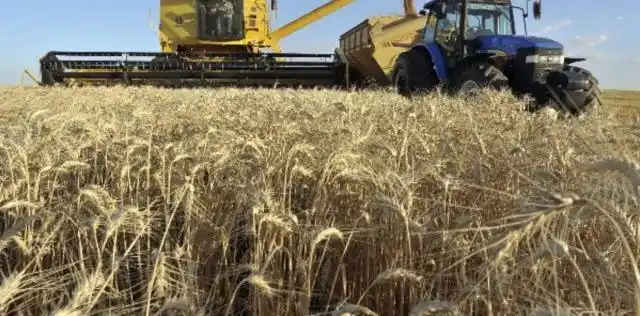 A punto de terminar la cosecha, se confirma el récord de 19 millones de toneladas