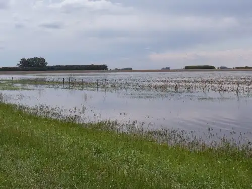 Por lluvias, Santa Fe perdió 100 mil ha