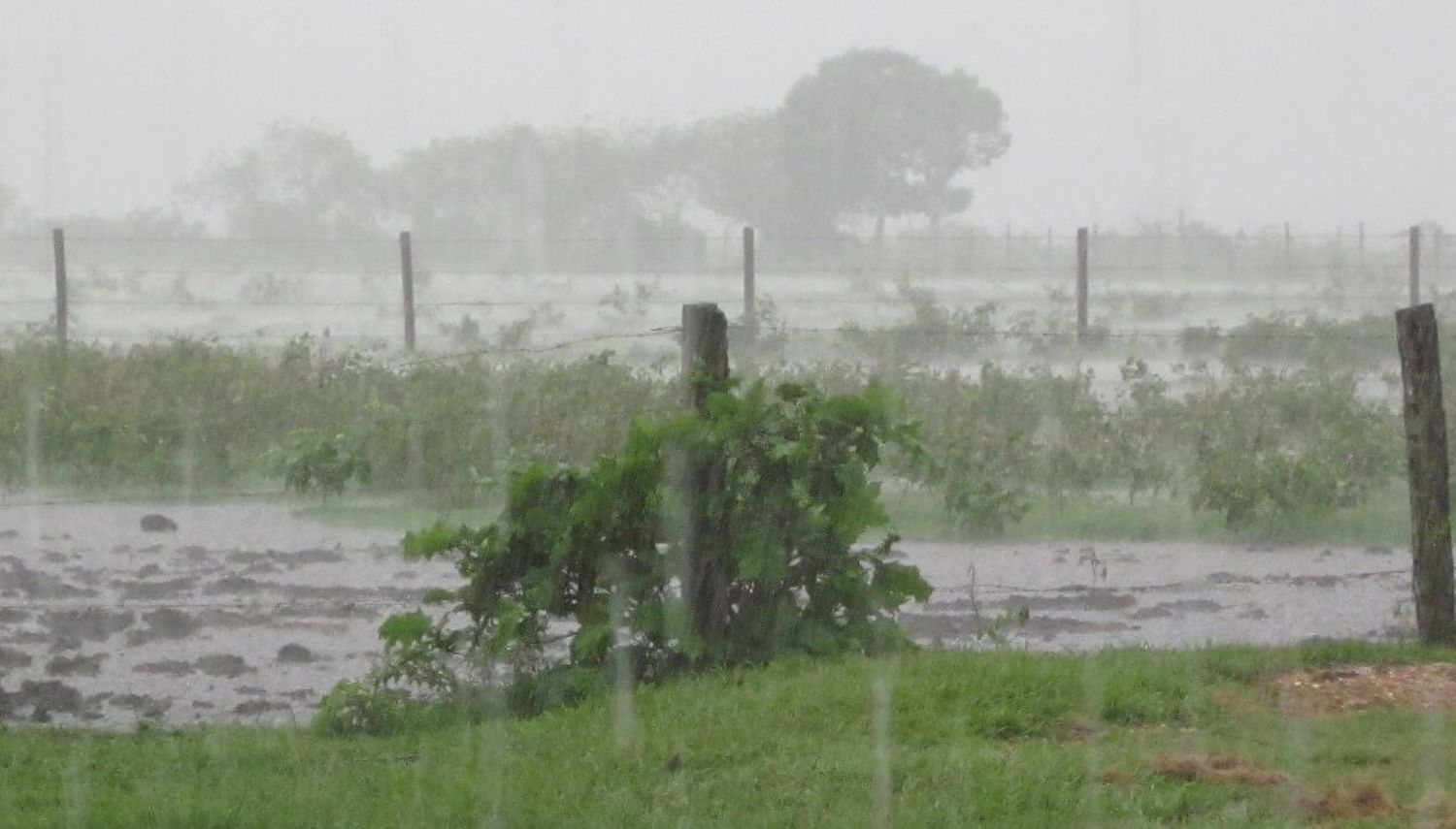 Las lluvias de noviembre ya superan el promedio histórico y El Niño se pone a punto para el verano