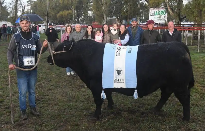 GCM Bordeu 25