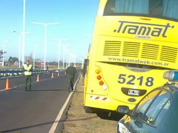 Secuestraron más de 80 kilos de droga que era transportada en colectivo  