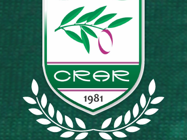 A las 19 se realiza el lanzamiento del "Seven del Cincuentenario".