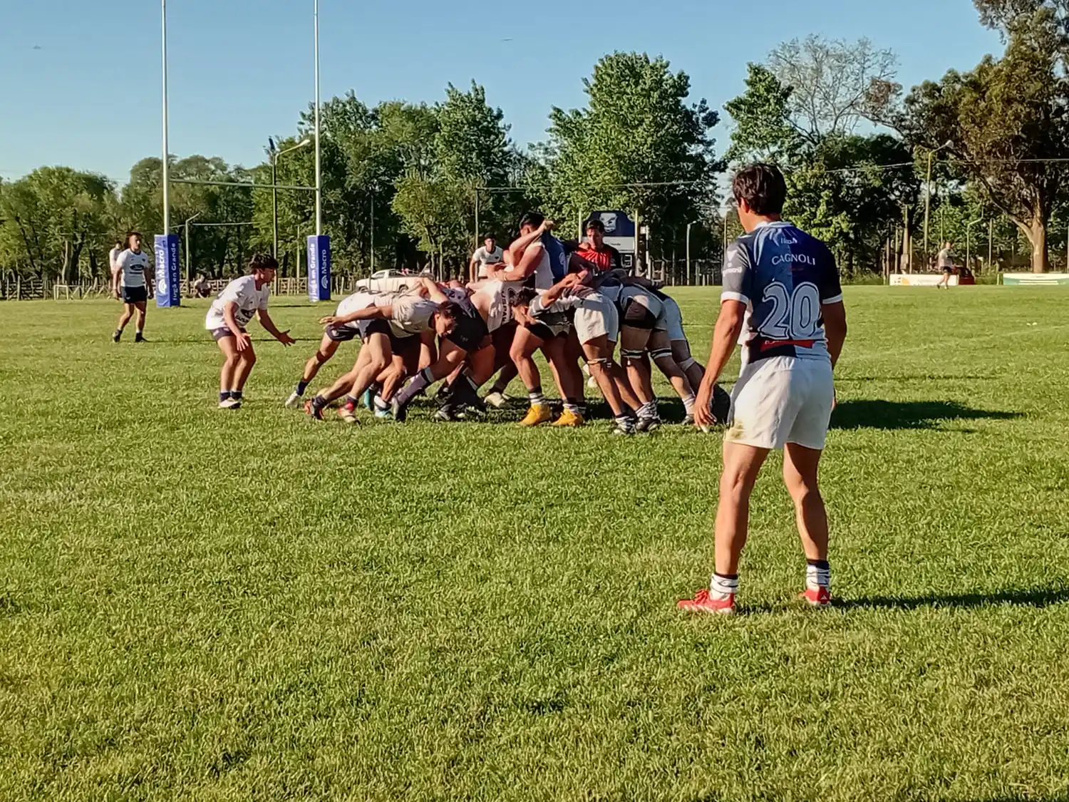 rugby uncas cardos los 50 eco rugby - 2