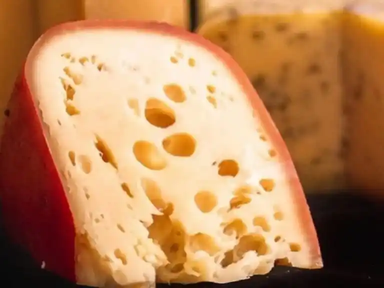 La iniciativa posee detrás un labor en conjunto entre la UNMdP y múltiples productores de queso.