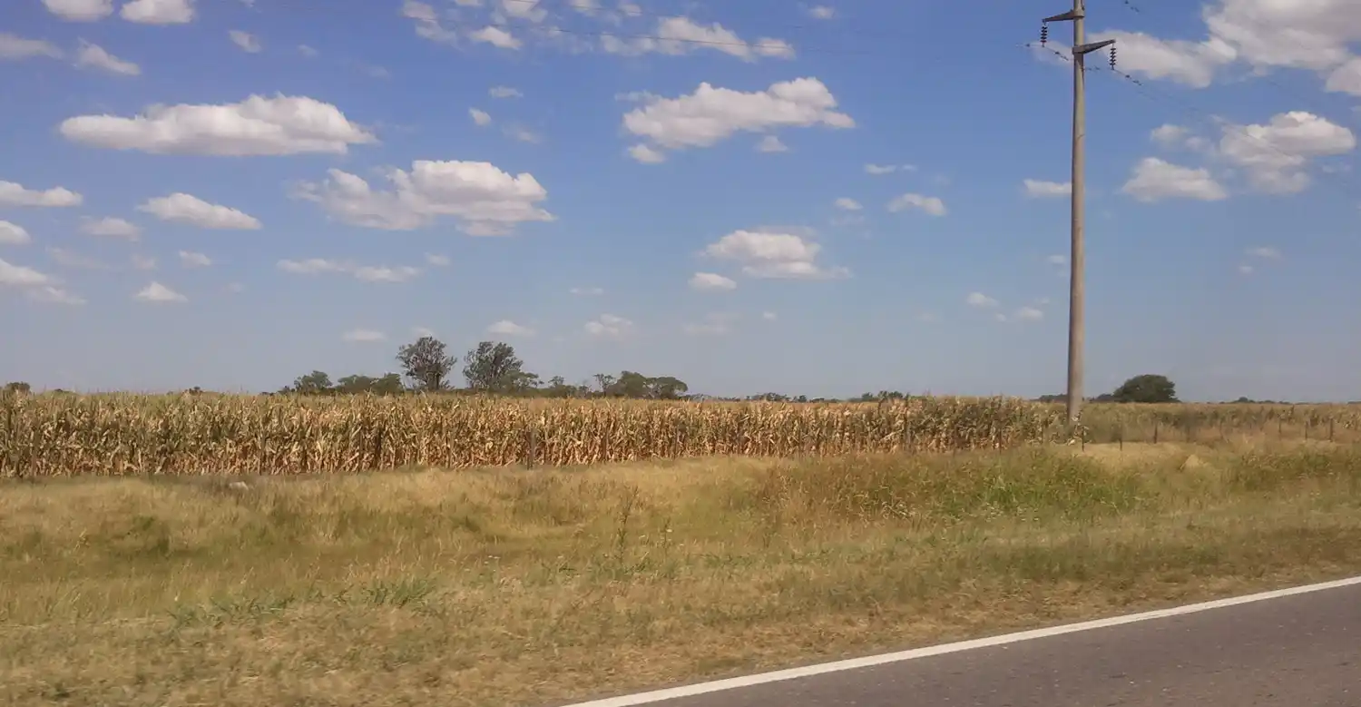El campo en alerta por la ola de calor