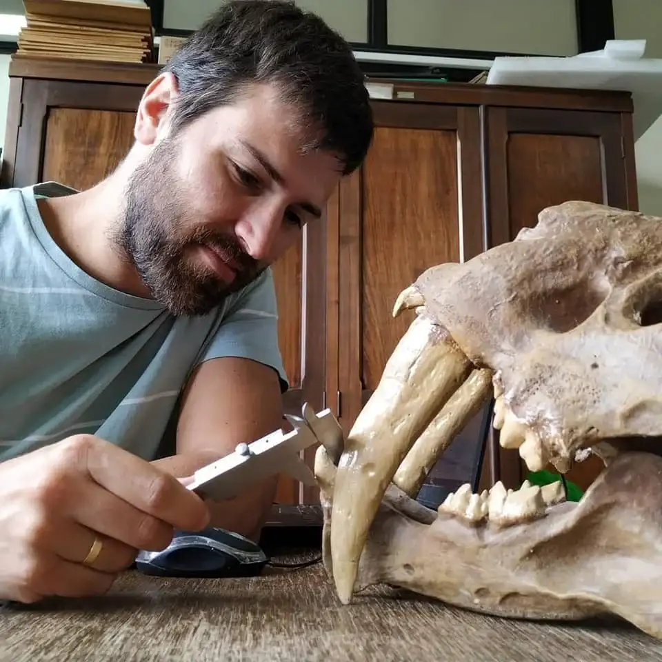 megafauna paleontologia - 2