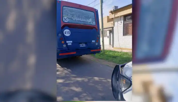 Urnas listas