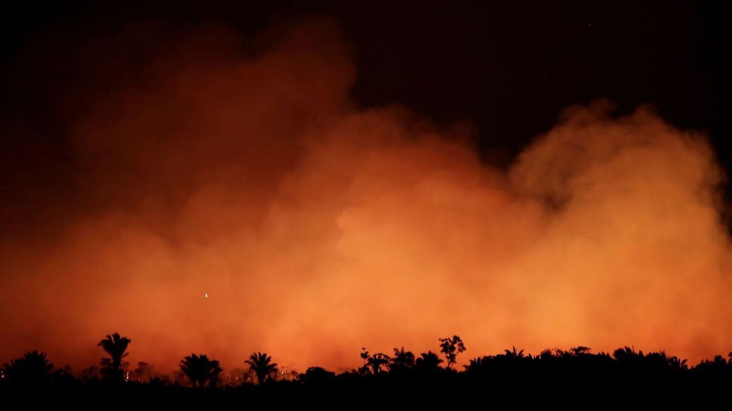 Funcionarios y dirigentes provinciales se expresaron sobre el incendio en el Amazonas