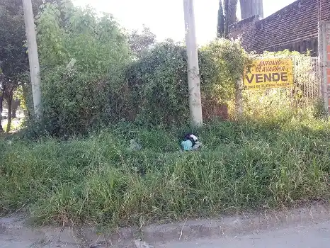 En 10 días se intimaron a 25 propietarios de terrenos baldíos y 9 fueron multados