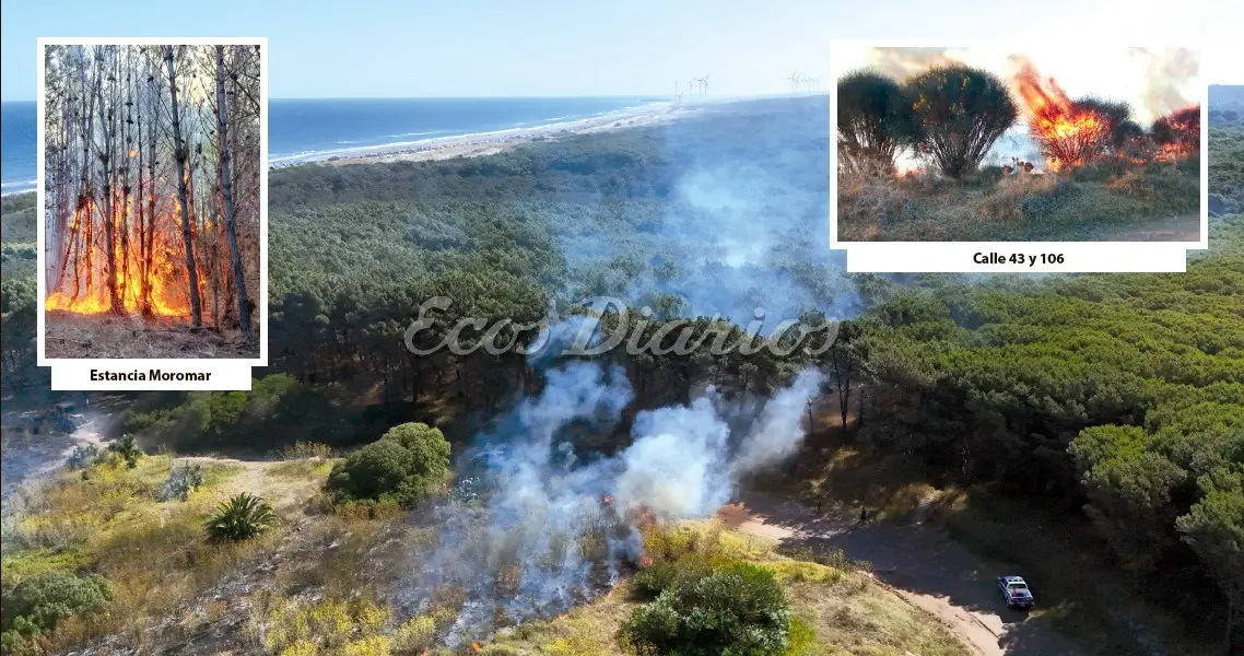 Las altas temperaturas provocaron el fuego en varios sectores de Necochea y Lobería.