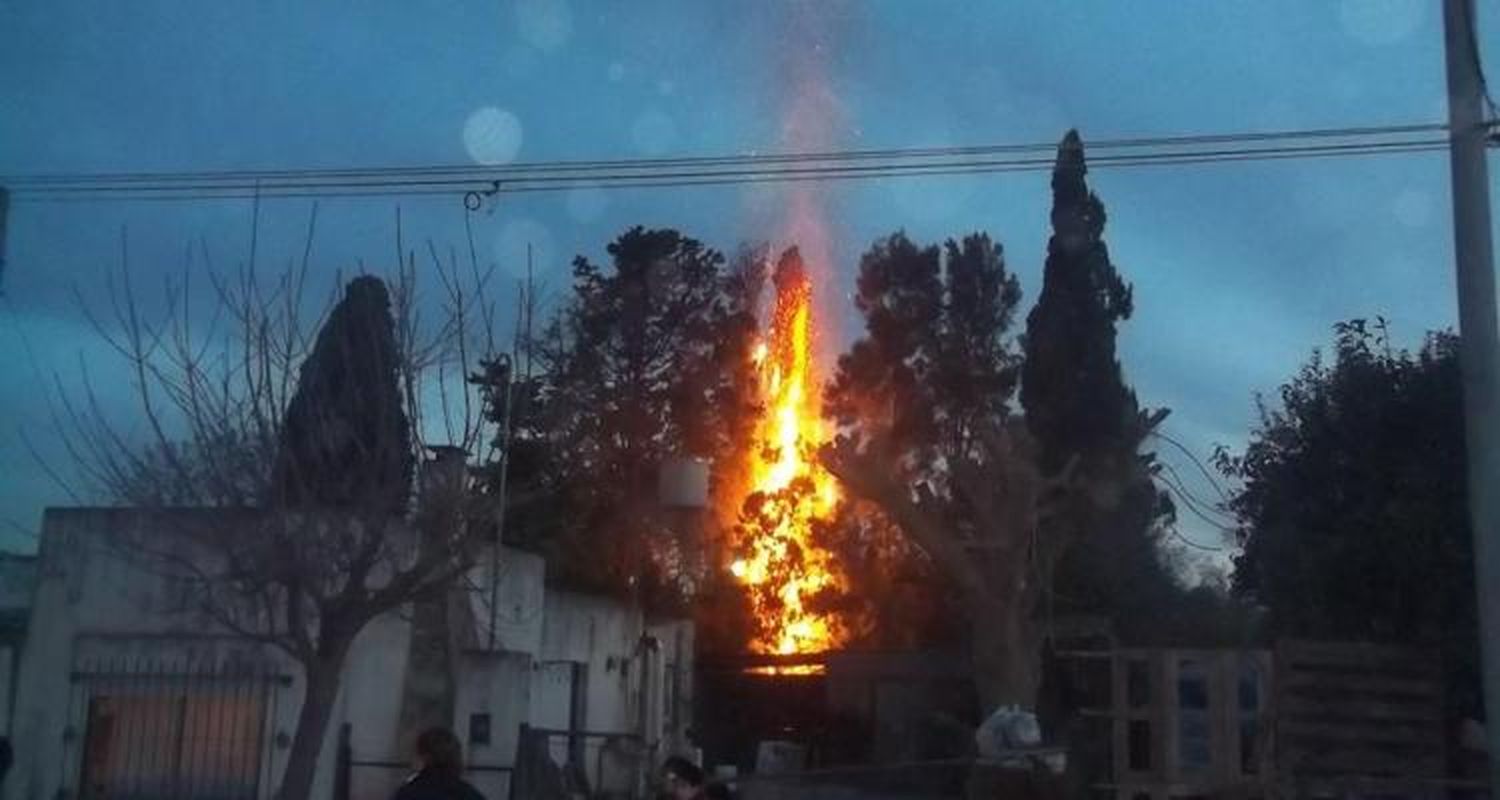 Quemó basura e incendió un pino