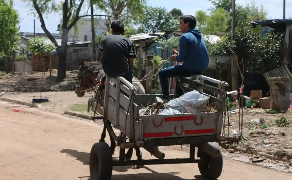 Patitas, Provoín, La Casita y Guaba suman voluntades para erradicar la tracción a sangre