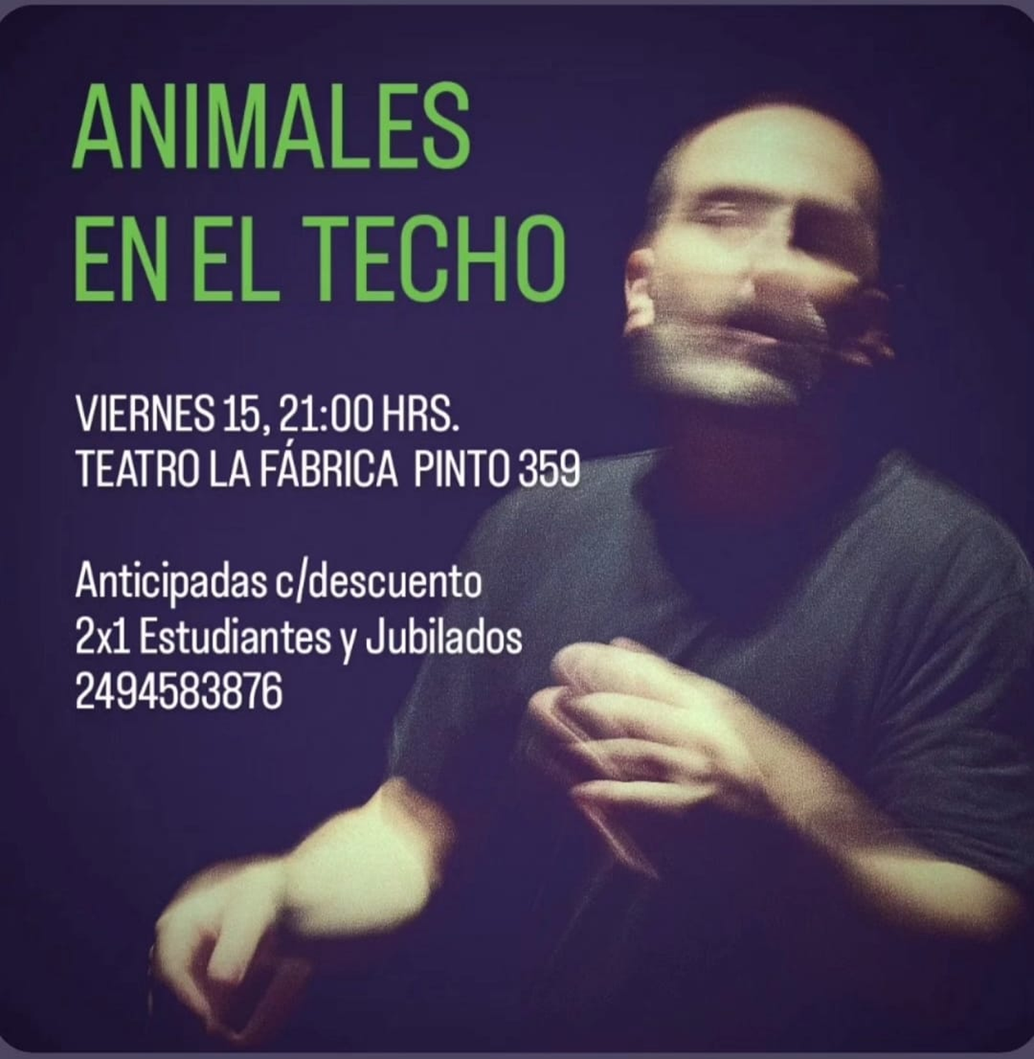 animales