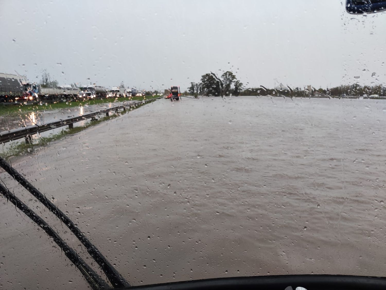 Imágenes desde un Micro en Ruta 9