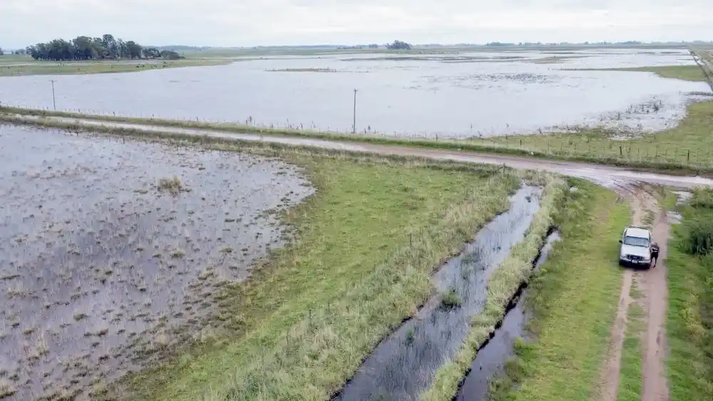 Un campo inundado en el corazón de la provincia de Buenos Aires.