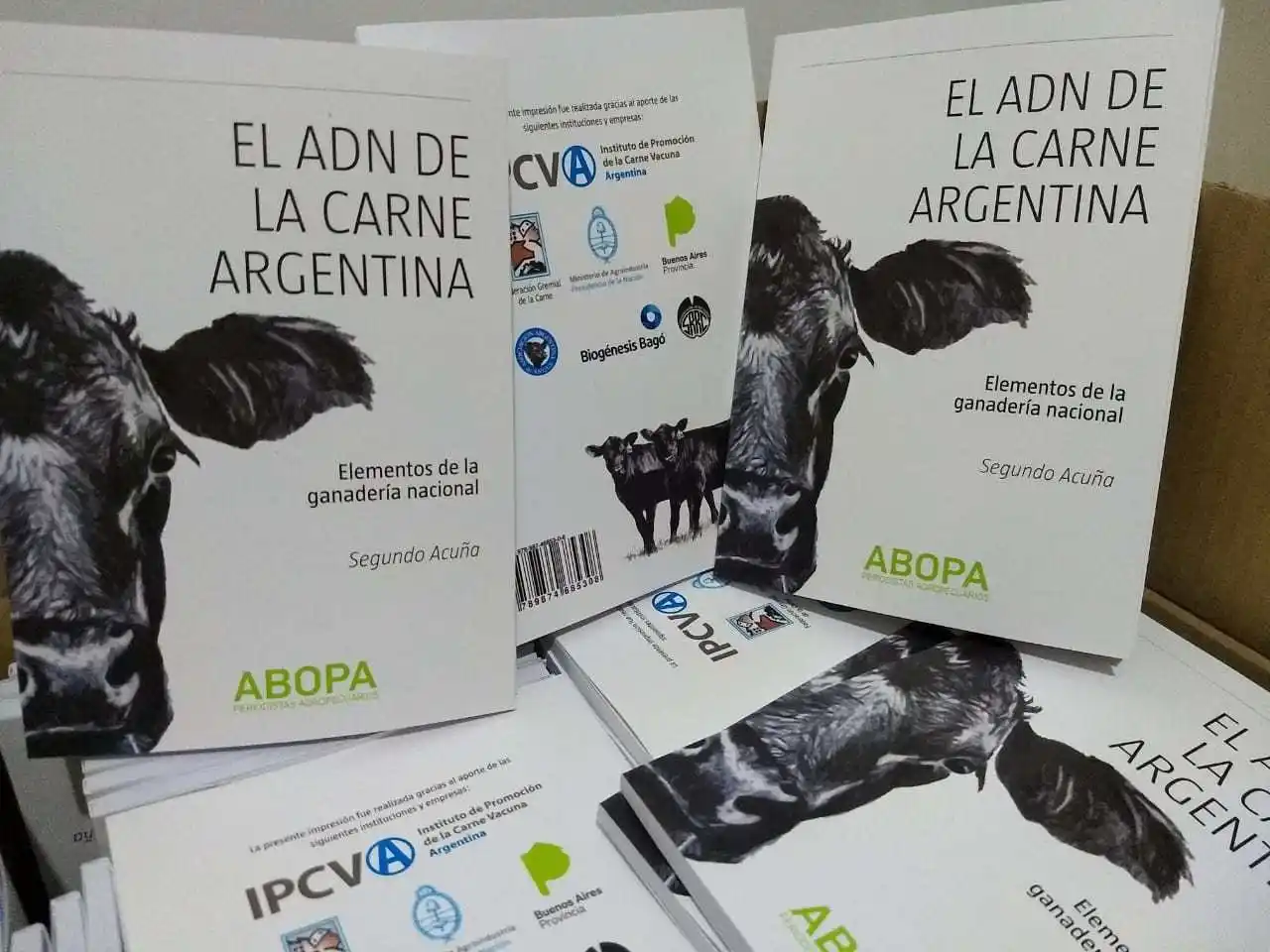 Entrevista a Segundo Acuña | Buenas y Santas