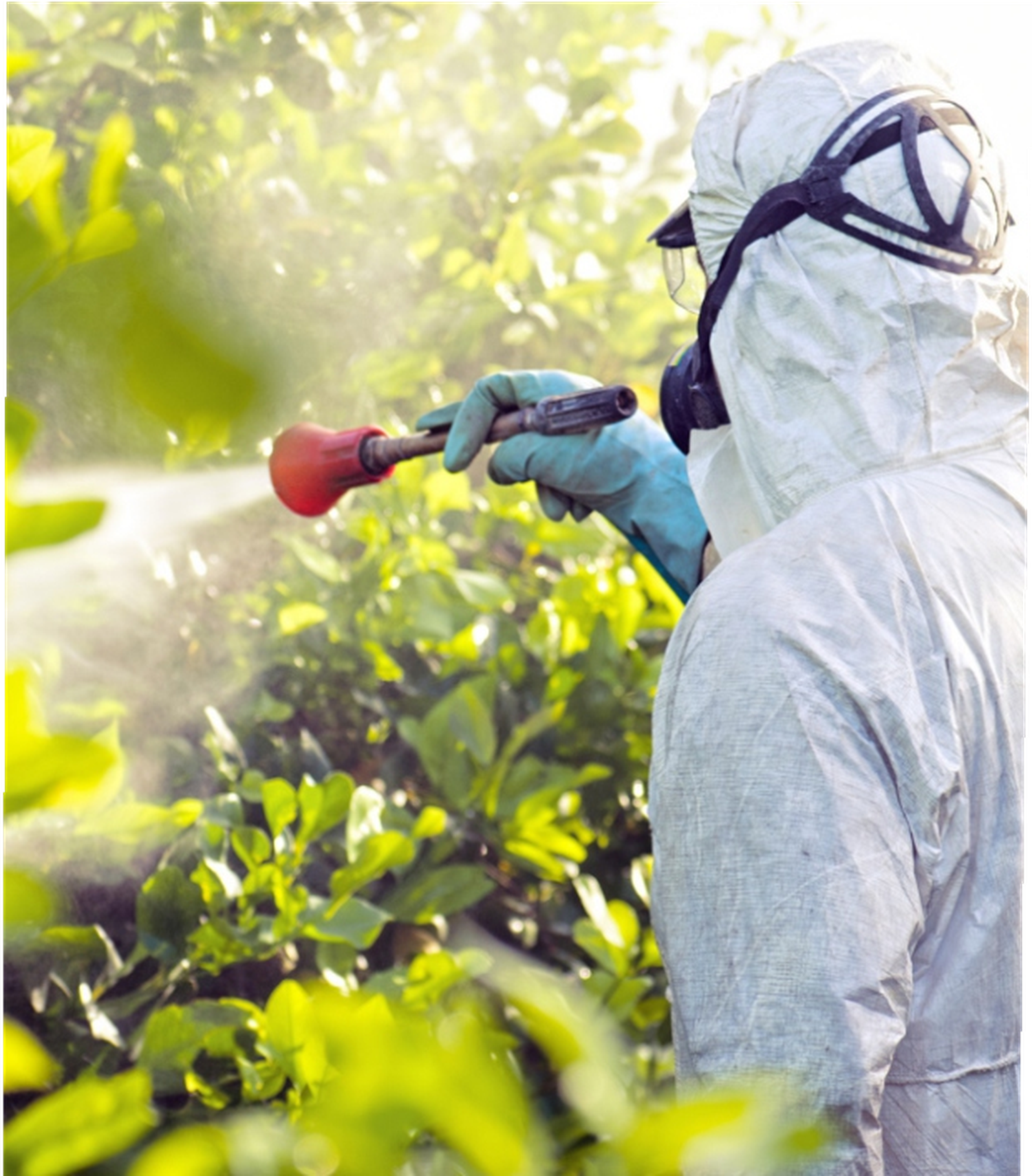 Agroquímicos: la delicada línea de cuidar el medioambiente y aumentar la producción