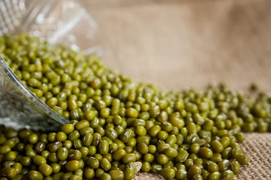 Empresa vietnamita apunta al 100% de LA PRODUCCIÓN DE FRIJOL VERDE venezolano (+Video)