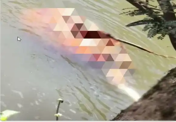 Dos mujeres y cuatro hombres implicados en la muerte de un indígena