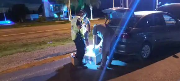 Secuestran vacunas veterinarias sin documentación en control policial