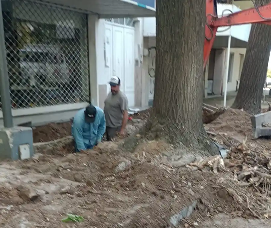 Comenzaron los trabajos en la avenida Colón.