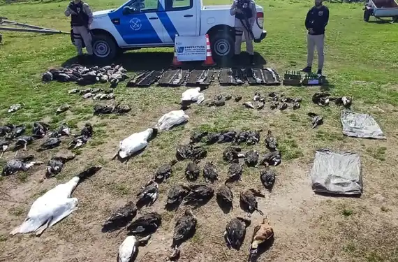 Cuatro entrerrianos fueron imputados por guiar a estadounidenses durante una excursión de caza ilegal