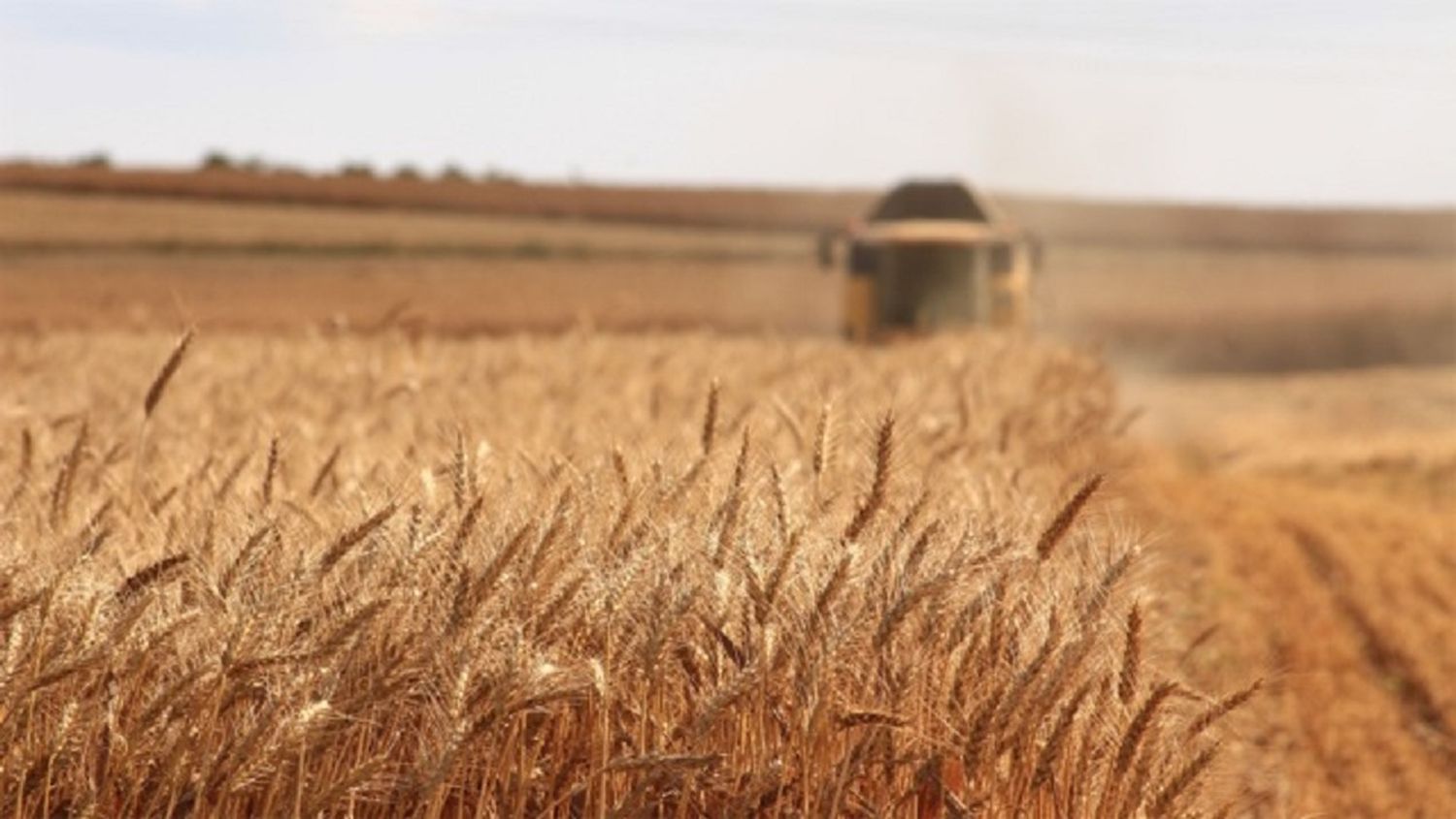 Nuevos desafíos para la industria agrícola