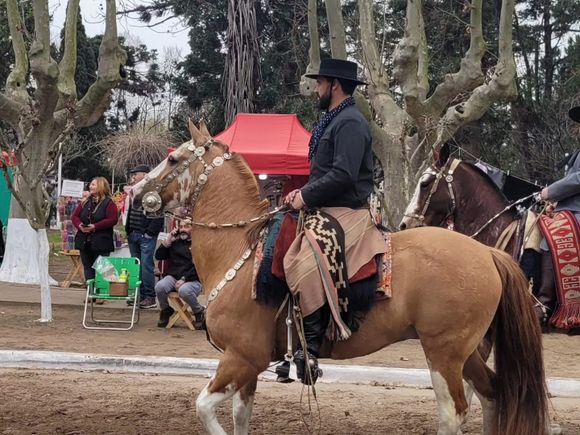 Fiesta del Concurso del Chorizo Seco en Bragado, un evento familiar con música folclórica y destrezas criollas