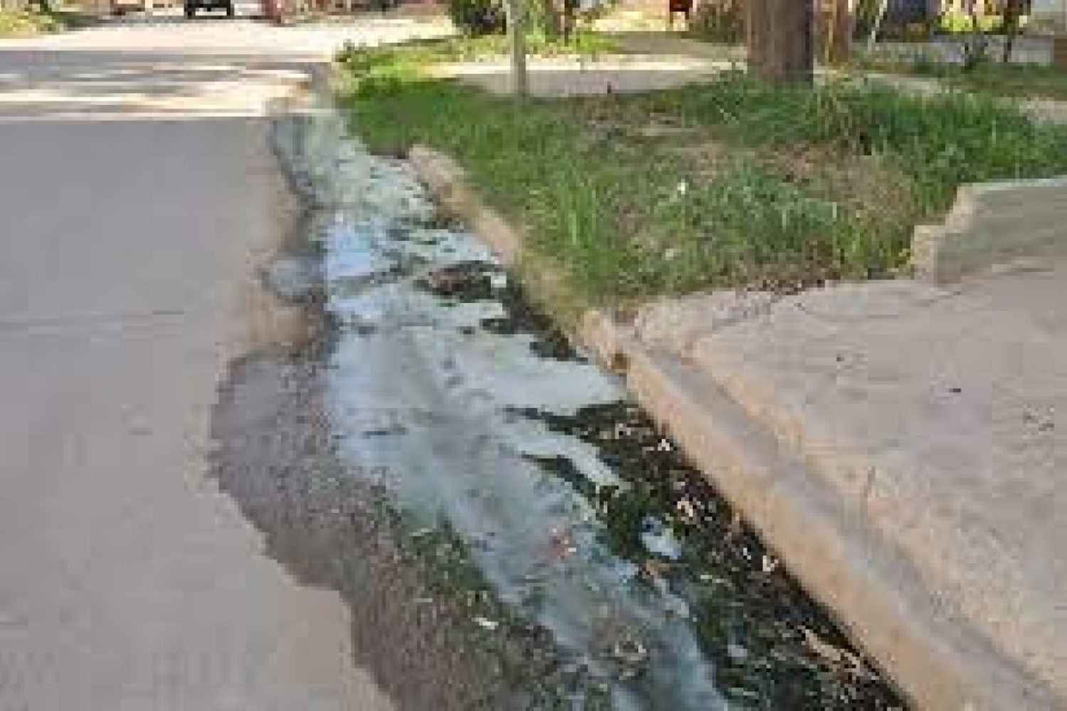 El Municipio intensifica el control de volcado de agua en la vía pública